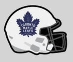 Pre Order - NHL Sports Helment